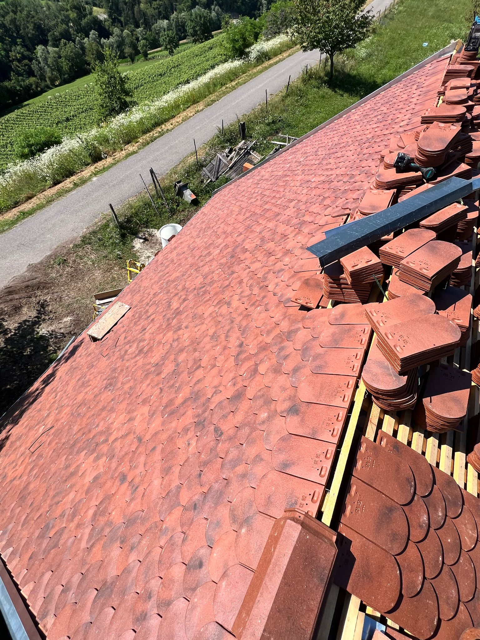 WhatsApp Image 2025-03-19 at 16.49.25 (1)