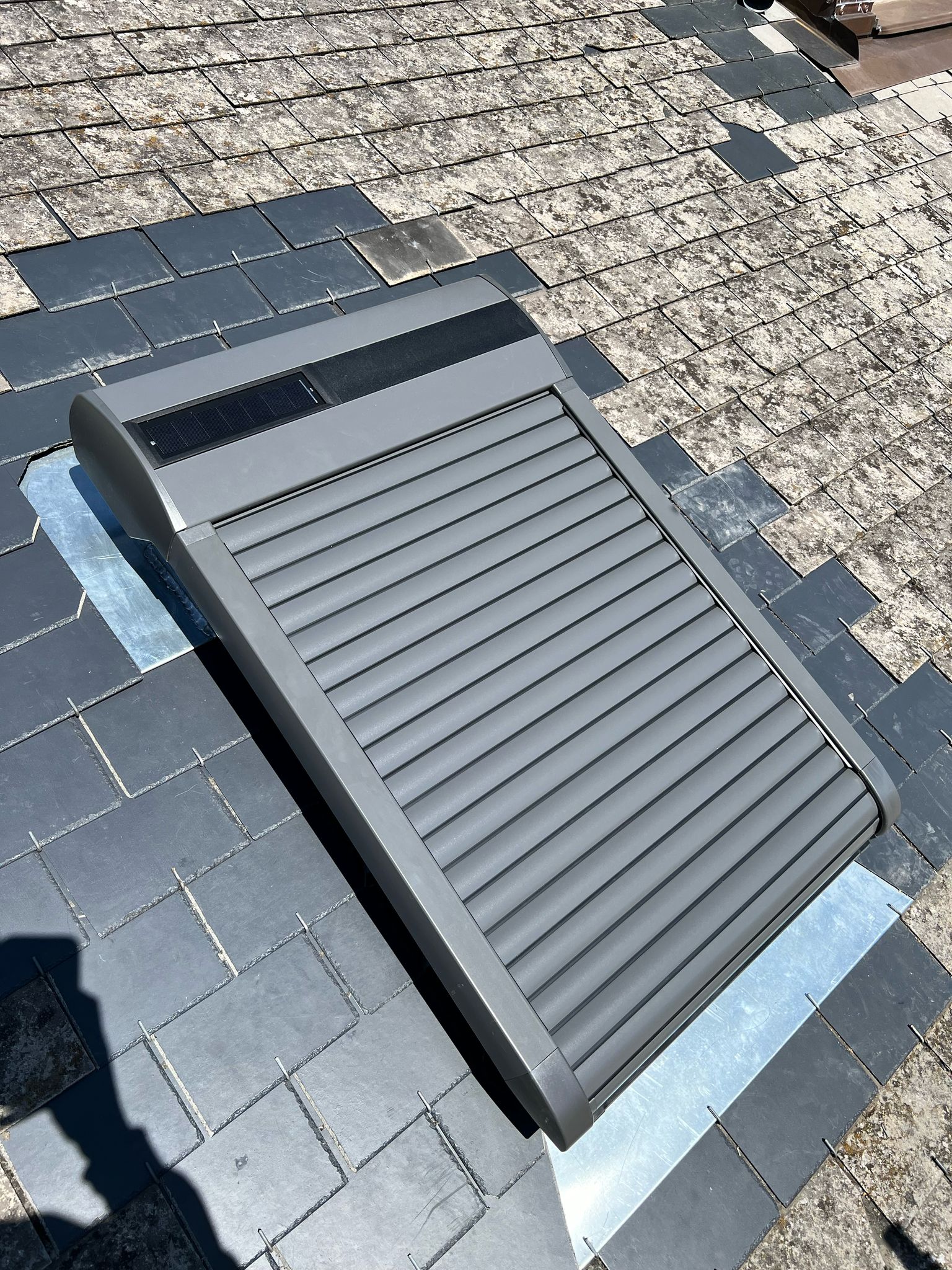 WhatsApp Image 2025-03-19 at 16.53.24