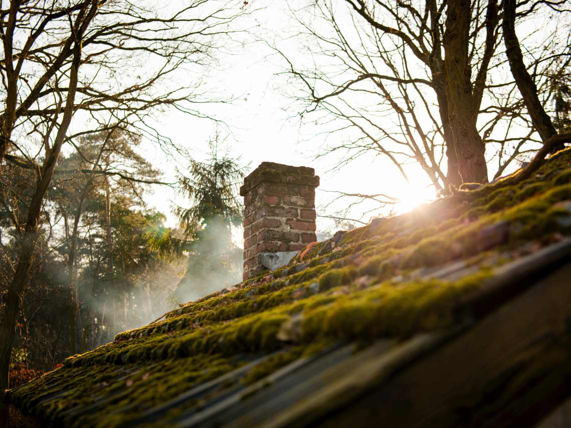 demoussage toiture 3