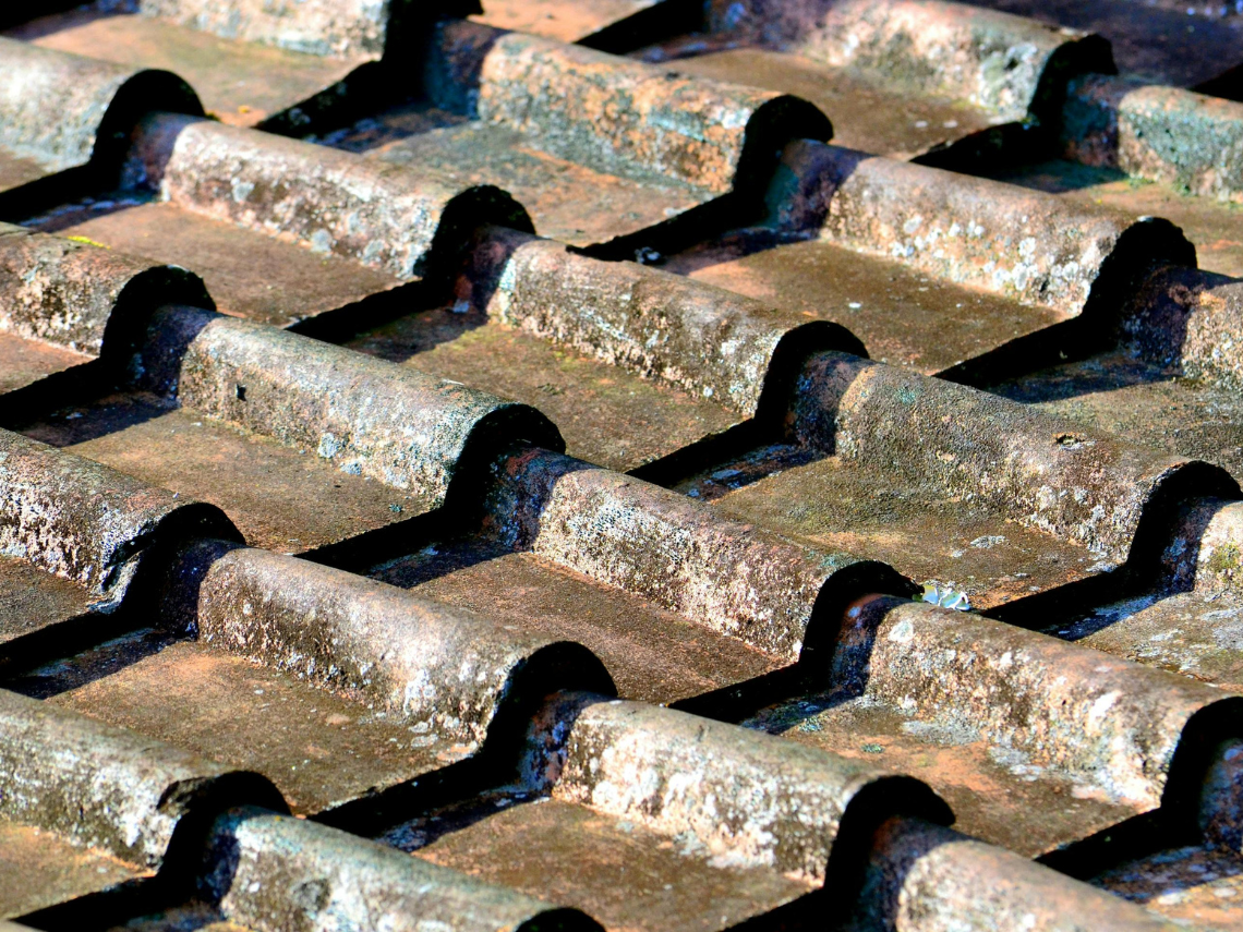 demoussage toiture 4